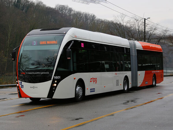 VanHool ExquiCity electric bus