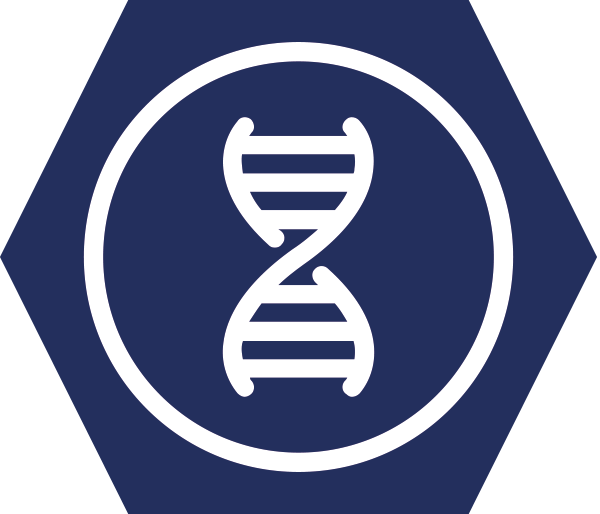 Stabilität & Innovation